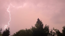 IMG_1345